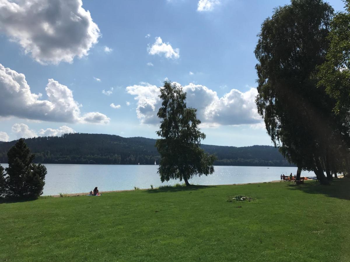 Luxury Apartman Lipno Lipno nad Vltavou Kültér fotó