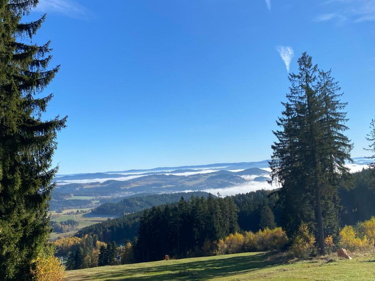Luxury Apartman Lipno Lipno nad Vltavou Kültér fotó
