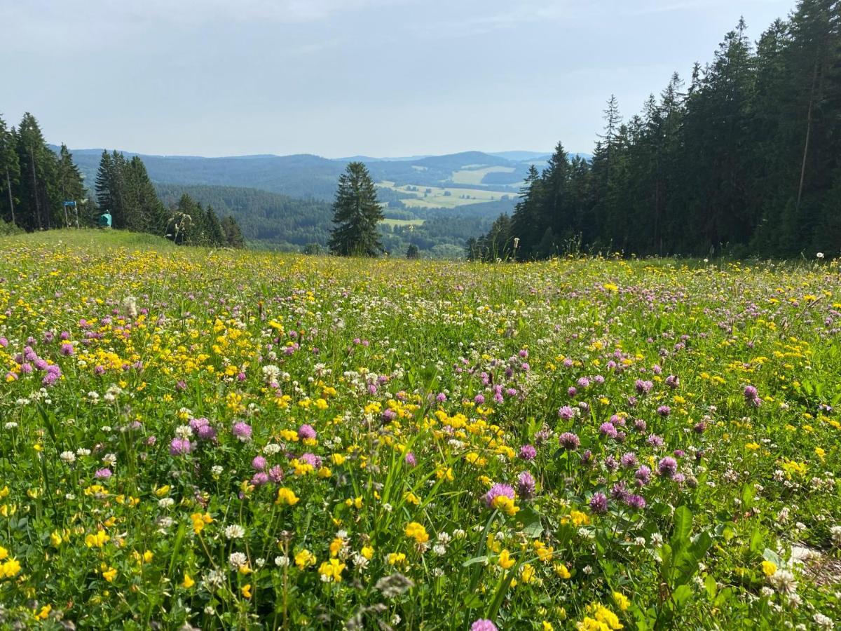 Luxury Apartman Lipno Lipno nad Vltavou Kültér fotó